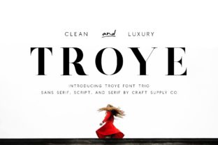 Discovering Troye Trio: A Versatile Font for Creative Branding