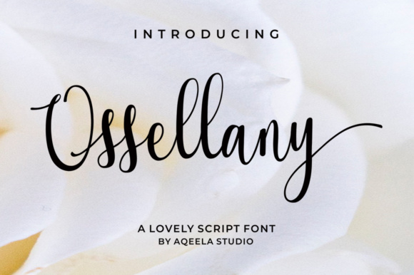 Elevate Your Brand with Ossellany Script Font
