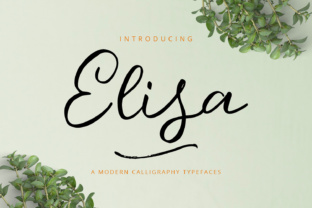 Elisa Font Review: Modern Script for Small Business Branding