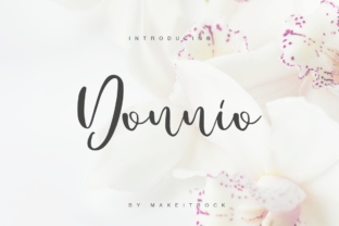 Enhance Your Brand with Donnio: A Distinctive Script Font