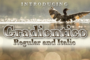 Gradientico: A Retro Serif Font for Editorial Design