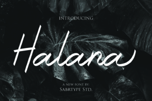 Halana Font: A Readable Script for Handmade Labels