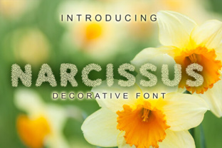 Narcissus Decorative Font for Web Design