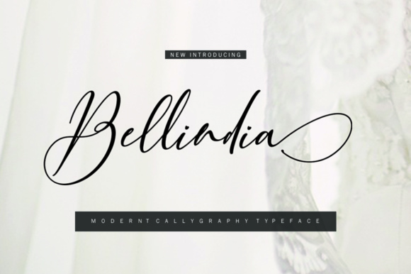 Transform Your Brand with Bellindia: A Modern Calligraphy Font